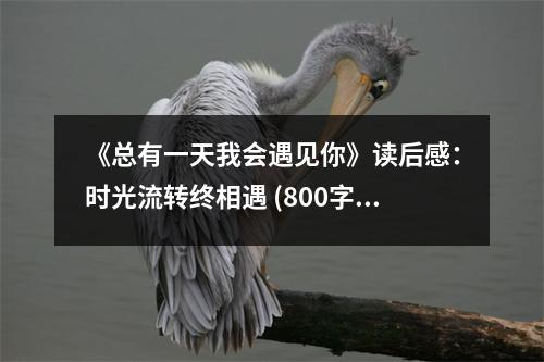《總有一天我會(huì)遇見(jiàn)你》讀后感：時(shí)光流轉(zhuǎn)終相遇 (800字)