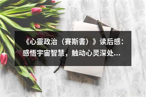 《心靈政治（賽斯書(shū)）》讀后感：感悟宇宙智慧，觸動(dòng)心靈深處 (850字)