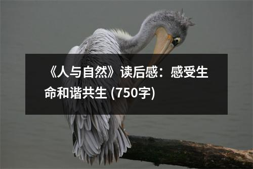 《人與自然》讀后感：感受生命和諧共生 (750字)