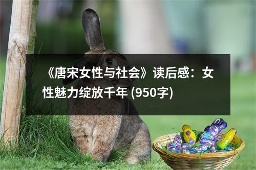 《唐宋女性與社會(huì)》讀后感：女性魅力綻放千年 (950字)