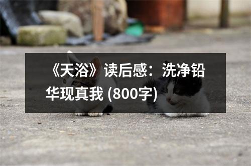 《天浴》讀后感：洗凈鉛華現(xiàn)真我 (800字)