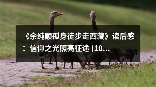 《余純順孤身徒步走西藏》讀后感：信仰之光照亮征途 (1050字)
