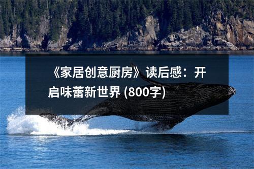 《家居創(chuàng)意廚房》讀后感：開啟味蕾新世界 (800字)