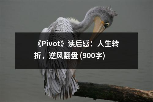 《Pivot》讀后感：人生轉(zhuǎn)折，逆風(fēng)翻盤 (900字)