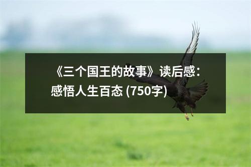 《三個國王的故事》讀后感：感悟人生百態(tài) (750字)