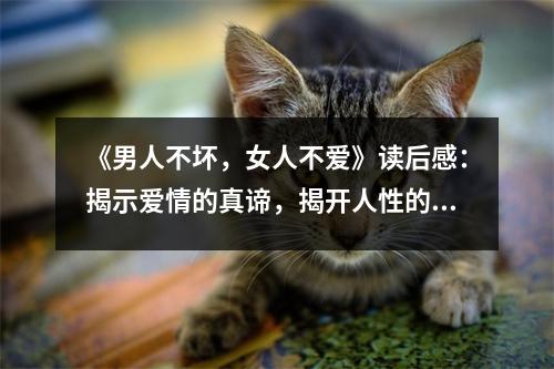 《男人不壞，女人不愛》讀后感：揭示愛情的真諦，揭開人性的奧秘 (850字)