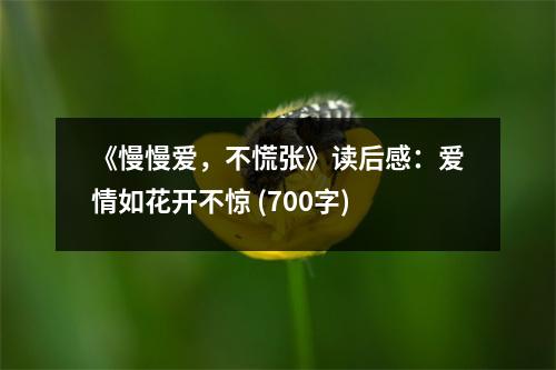 《慢慢愛，不慌張》讀后感：愛情如花開不驚 (700字)