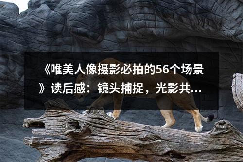 《唯美人像攝影必拍的56個(gè)場(chǎng)景》讀后感：鏡頭捕捉，光影共舞 (800字)