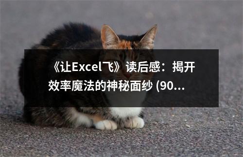 《讓Excel飛》讀后感：揭開效率魔法的神秘面紗 (900字)