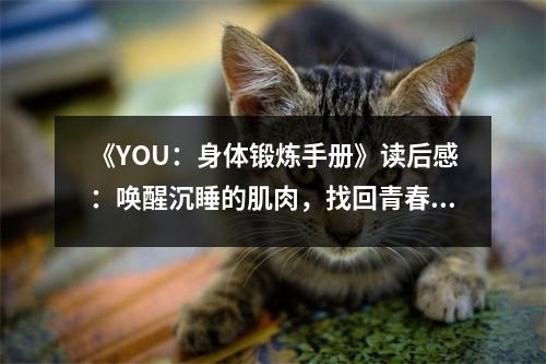 《YOU：身體鍛煉手冊》讀后感：喚醒沉睡的肌肉，找回青春活力 (850字)