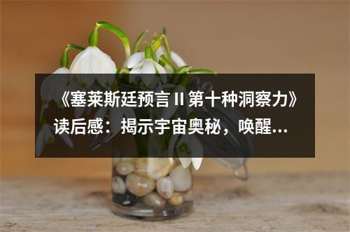 《塞萊斯廷預(yù)言Ⅱ第十種洞察力》讀后感：揭示宇宙奧秘，喚醒內(nèi)在智慧 (750字)