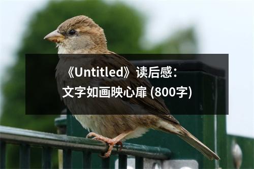 《Untitled》讀后感：文字如畫映心扉 (800字)