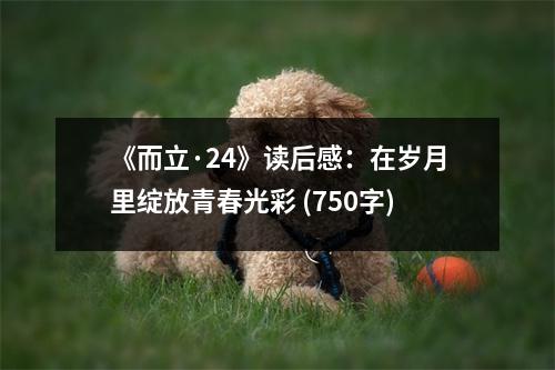 《而立·24》讀后感：在歲月里綻放青春光彩 (750字)