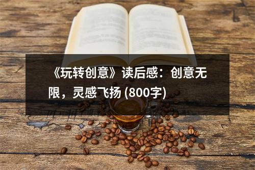 《玩轉(zhuǎn)創(chuàng)意》讀后感：創(chuàng)意無限，靈感飛揚(yáng) (800字)