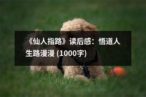 《仙人指路》讀后感：悟道人生路漫漫 (1000字)