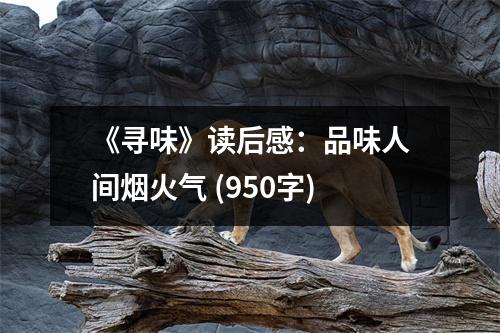 《尋味》讀后感：品味人間煙火氣 (950字)