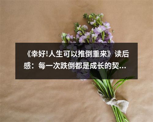 《幸好!人生可以推倒重來》讀后感：每一次跌倒都是成長的契機 (700字)