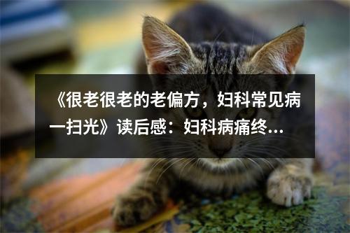 《很老很老的老偏方，婦科常見(jiàn)病一掃光》讀后感：婦科病痛終得解，人生如花笑春風(fēng) (700字)