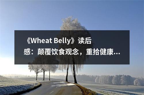 《Wheat Belly》讀后感：顛覆飲食觀念，重拾健康人生 (700字)