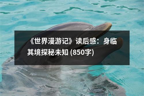 《世界漫游記》讀后感：身臨其境探秘未知 (850字)
