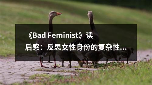 《Bad Feminist》讀后感：反思女性身份的復(fù)雜性與沖突 (800字)