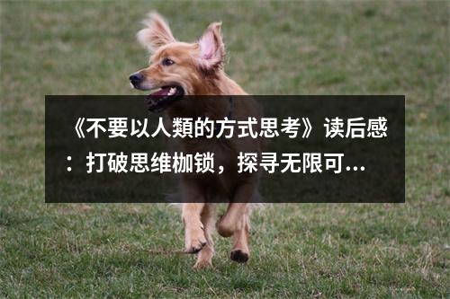 《不要以人類的方式思考》讀后感：打破思維枷鎖，探尋無限可能 (850字)