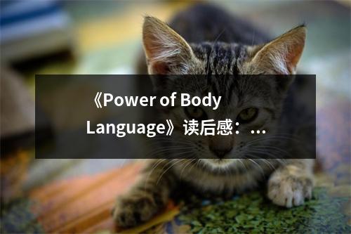 《Power of Body Language》讀后感：洞察無聲的語言 (800字)
