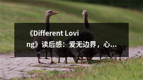 《Different Loving》讀后感：愛無邊界，心有所向 (800字)