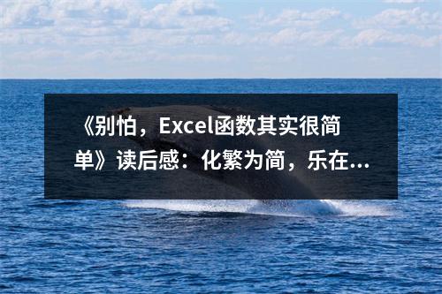 《別怕，Excel函數(shù)其實很簡單》讀后感：化繁為簡，樂在其中 (900字)