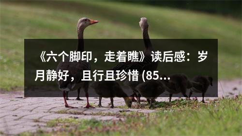 《六個腳印，走著瞧》讀后感：歲月靜好，且行且珍惜 (850字)