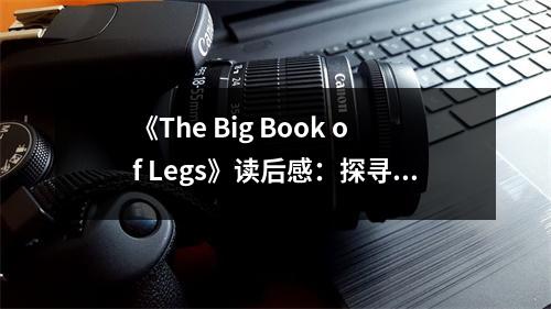 《The Big Book of Legs》讀后感：探尋腿部的無盡魅力 (800字)