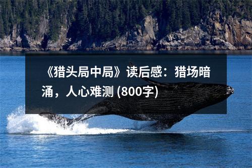 《獵頭局中局》讀后感：獵場暗涌，人心難測 (800字)