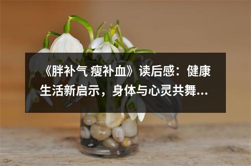 《胖補(bǔ)氣 瘦補(bǔ)血》讀后感：健康生活新啟示，身體與心靈共舞 (800字)