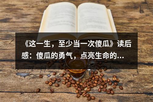 《這一生，至少當(dāng)一次傻瓜》讀后感：傻瓜的勇氣，點(diǎn)亮生命的火花 (750字)