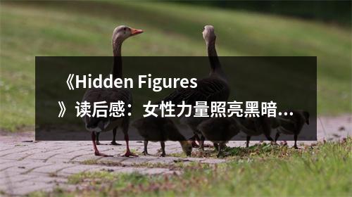 《Hidden Figures》讀后感：女性力量照亮黑暗角落 (800字)