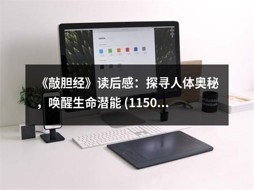《敲膽經(jīng)》讀后感：探尋人體奧秘，喚醒生命潛能 (1150字)
