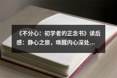 《不分心：初學(xué)者的正念書》讀后感：靜心之旅，喚醒內(nèi)心深處的那份寧靜 (850字)
