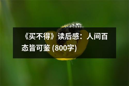 《買不得》讀后感：人間百態(tài)皆可鑒 (800字)