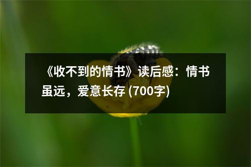 《收不到的情書》讀后感：情書雖遠(yuǎn)，愛意長(zhǎng)存 (700字)