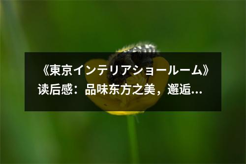 《東京インテリアショールーム》讀后感：品味東方之美，邂逅獨特風(fēng)情 (1150字)