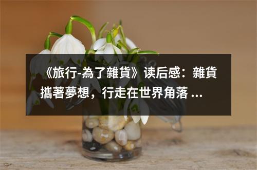 《旅行-為了雜貨》讀后感：雜貨攜著夢想，行走在世界角落 (950字)