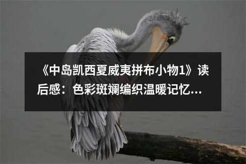 《中島凱西夏威夷拼布小物1》讀后感：色彩斑斕編織溫暖記憶 (800字)