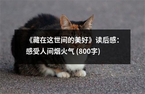 《藏在這世間的美好》讀后感：感受人間煙火氣 (800字)