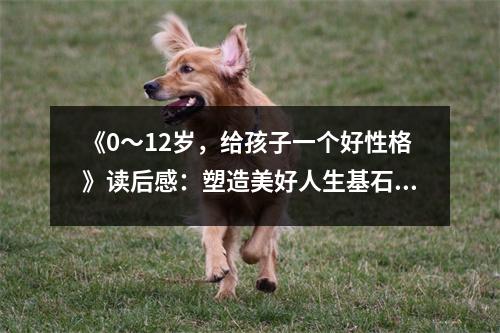 《0～12歲，給孩子一個好性格》讀后感：塑造美好人生基石 (850字)