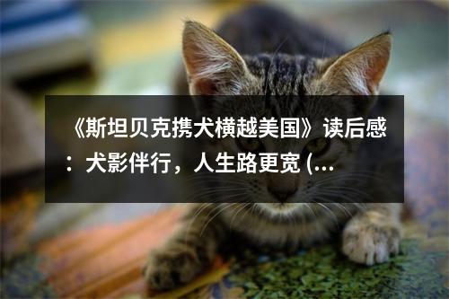 《斯坦貝克攜犬橫越美國》讀后感：犬影伴行，人生路更寬 (700字)