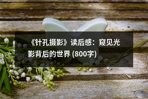 《針孔攝影》讀后感：窺見光影背后的世界 (800字)