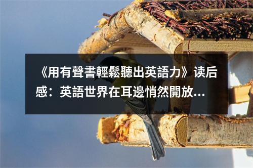 《用有聲書輕鬆聽出英語力》讀后感：英語世界在耳邊悄然開放 (650字)
