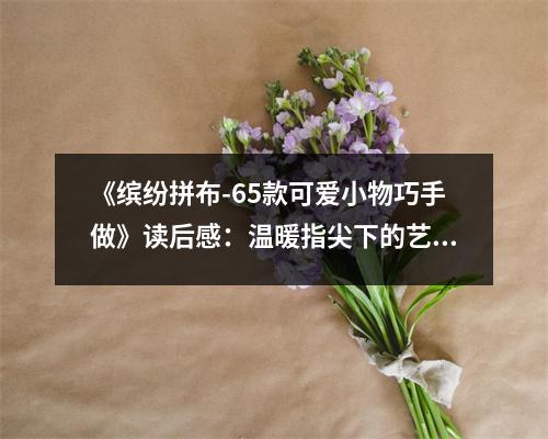 《繽紛拼布-65款可愛小物巧手做》讀后感：溫暖指尖下的藝術(shù)之旅 (700字)