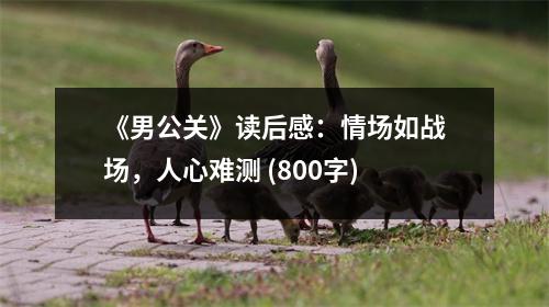 《男公關(guān)》讀后感：情場如戰(zhàn)場，人心難測 (800字)