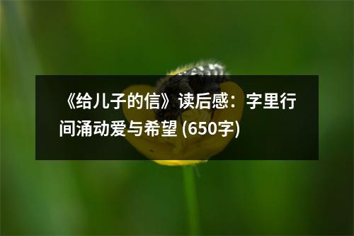 《給兒子的信》讀后感：字里行間涌動(dòng)愛與希望 (650字)